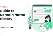 domain name history