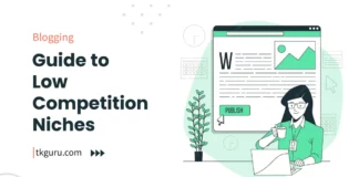 low competition niches for bloggers