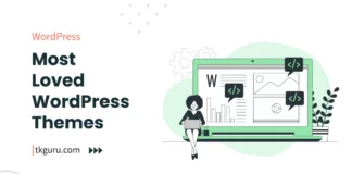 most loved wordpress themes