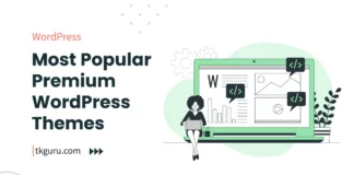 most popular premium wordpress themes
