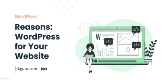 reasons wordpress website