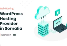 wordpress hosting provider somalia